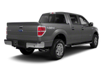 2010 Ford F-150 Base
