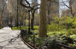 Image of a park with trees and iron fencing on a sunny day.