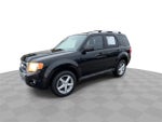 2010 Ford Escape Limited