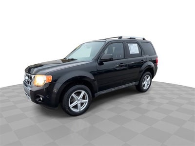 2010 Ford Escape Limited