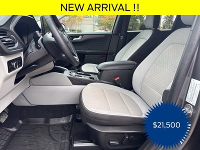 2023 Ford Escape Active Certified
