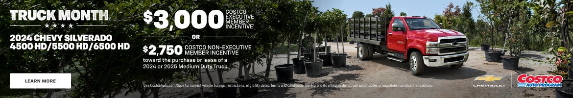 2024 Chevy Silverado 4500 HD, 5500 HD, 6500 HD. $3,000 COSTCO EXECUTIVE MEMBER INCENTIVE OR $2,750 COSTCO NON-EXECUTIVE...